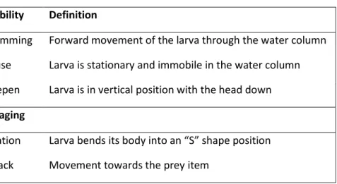 Table  2.  Behaviour  patterns  anchovy  (Engraulis  encrasicolus)  and  sardine  (Sardina pilchardus) larvae (adapted from Barlow 1968) 