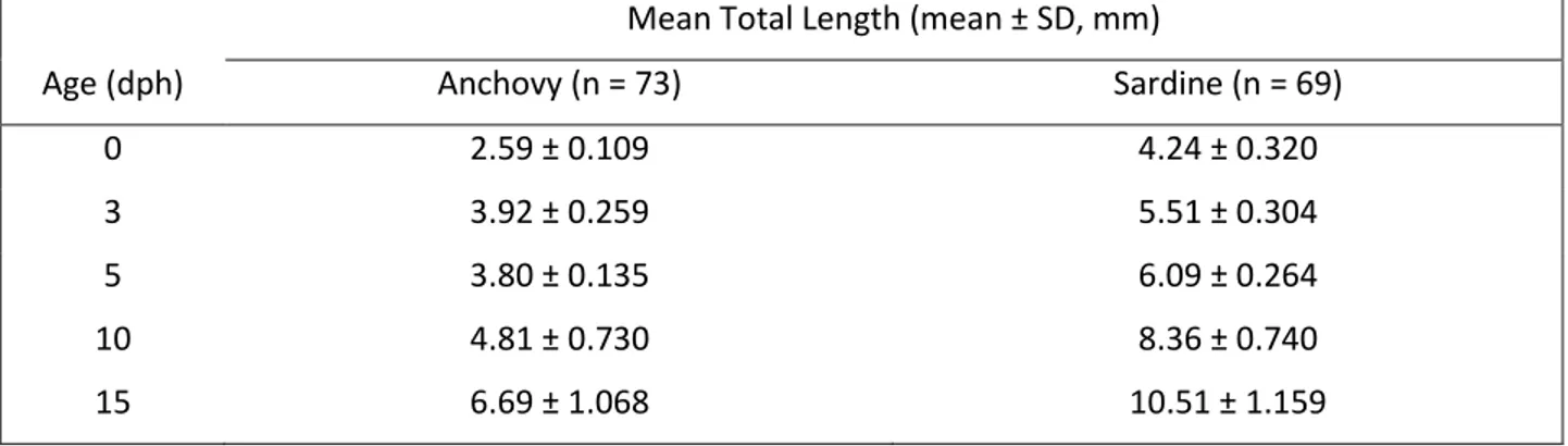 Table  4.  Average  total  length  (mean  ±  SD,  mm)  throughout  the  experimental  period  for  anchovy  Engraulis encrasicolus and sardine Sardina pilchardus larvae