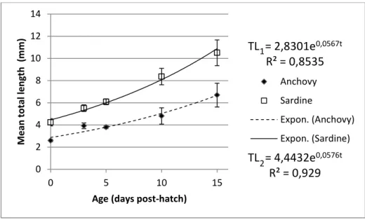 Table  5.  Instantaneous  growth  rates  of  first  feeding  anchovy  Engraulis  encrasicolus  and  sardine Sardina pilchardus larvae (mm d -1 )