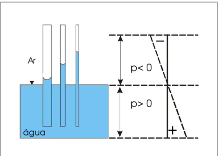 Figura 3.4 - Ascensão da Água em Tubos Capilares de Diâmetros Diferentes. P – pressão 