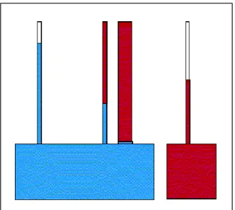 Figura 3.5 - Ascensão Capilar para os 3 Fluidos: Água em Azul, Óleo em Vermelho e o Ar em Branco 