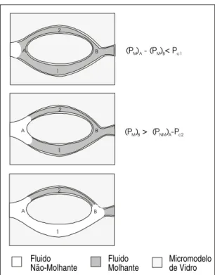 Figura 3.9 - Trapeamento do Fluido Molhante durante o Processo de Drenagem. P M  – pressão do fluido  molhante; P NM  – pressão do fluido não molhante; P C  – pressão capilar (Adaptado de Chatzis e Dullien,  1983) 