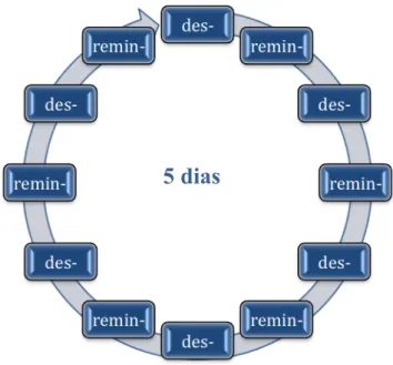 Figura 4.5 – Ciclo completo de desmineralização-remineralização 