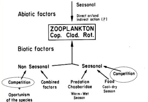 Figura 1. Modelo conceitual dos principais fatores que influenciariam a  flutuação do zooplâncton no Lago Monte Alegre