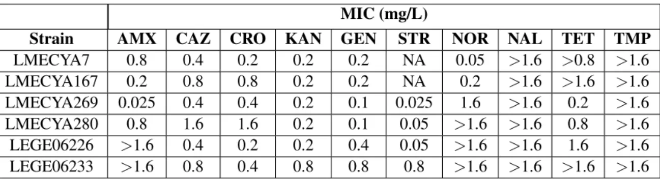 Table 1: MICs of all six strains of cyanobacteria. AMX: amoxicillin, CAZ: ceftazidime, CRO: ceftriaxone, KAN: