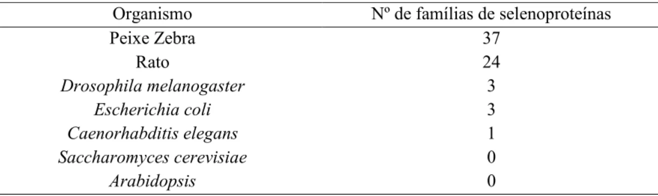 Tabela 2 - Número de famílias de selenoproteínas presentes em diversos organismos frequentemente  usados como modelos de laboratório