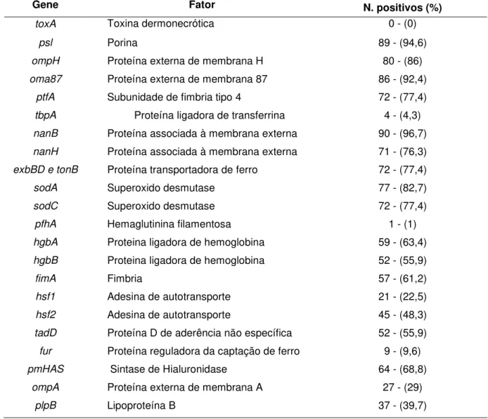 Tabela  3-  Frequência  de  genes  codificadores  de  proteínas  e  fatores  de  virulência  nas amostras de P