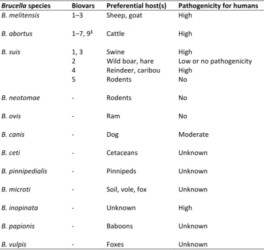 Table 1.1. Brucella species, preferred host(s) and pathogenicity for humans. 