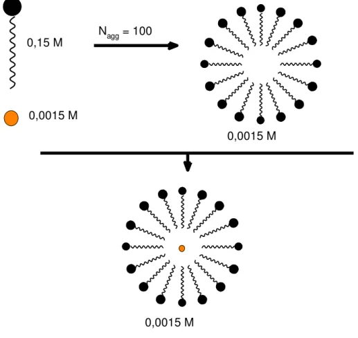 Figura  5  –   Esquema  da  metodologia  usada  para  a  determinação  do  coeficiente  de  difusão  micelar do C 16 TABr
