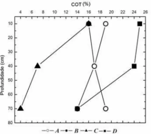 Figura 2.4 – Distribuição do carbono orgânico total (COT) em profundidade nos quatro perfis representativos da área  A1 