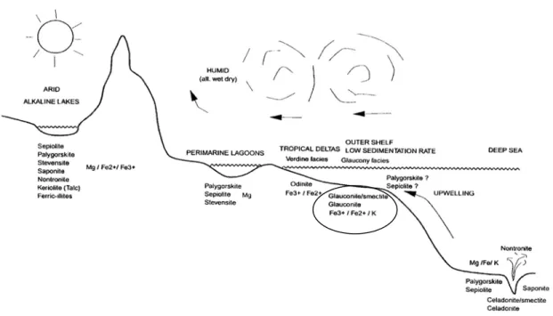 Figura 7 - Ambientes de formação da glauconita em relação a outros argilominerais  autóctones