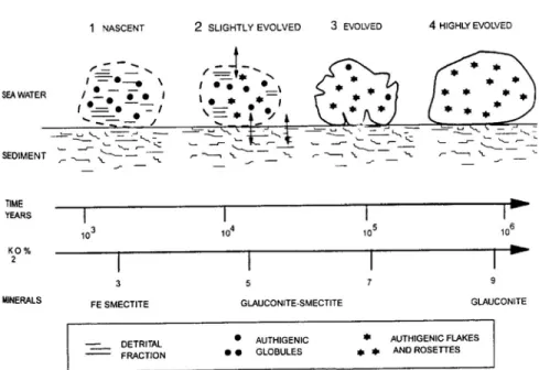 Figura 8 – Etapas da glauconitização e suas fases minerais (Hillier, 1995). 