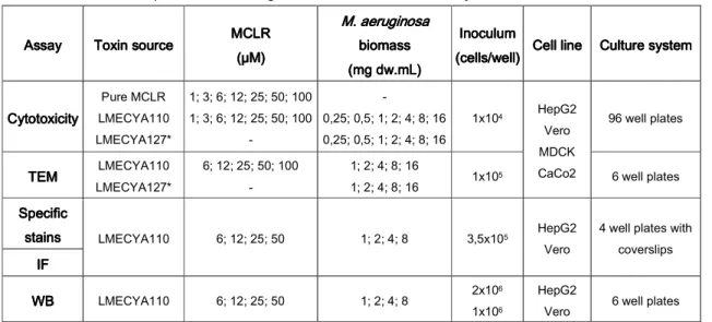 Table 3333    ----    Outline of experimental setting conditions used in this study.  
