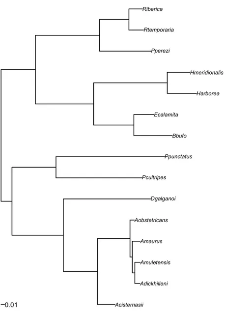 Figure  2  Sub-tree  of  a  previously  published  phylogenetic  tree  (Duarte  et  al