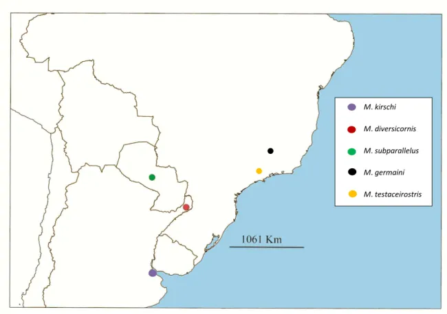 Figura 66: Distribuição geográfica de M. grandjeani, M. caeruleus, M. bipartitus e M. 