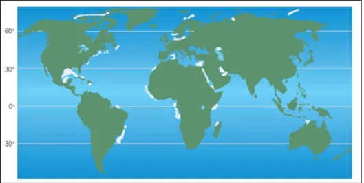 Figura 2-4 - Depósitos globais de sais indicados pelas áreas brancas. 