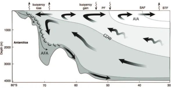 Figura 1.6: Representação esquemátia da irulação das massas de água do Oeano