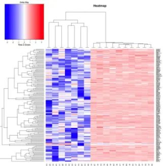 Figura 3 Heatmap de expressão gênica evidenciando a diferença de expressão do grupo de  genes selecionados para pacientes controle, na esquerda , versus pacientes com câncer na 