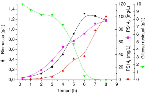 Figura 8 - Produção de biomassa, PS14 L, PS14 C e glicose residual em cultivo descontínuo em reator com meio CG10