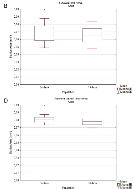 Figure  11  –  Boxplot  graphs  showing  the  differences  in  section  area  of  CNV (A),  CNVIII  (B),  ALLN  (C)  and  PLLN  (D)  between  the  two  adult  morphotypes