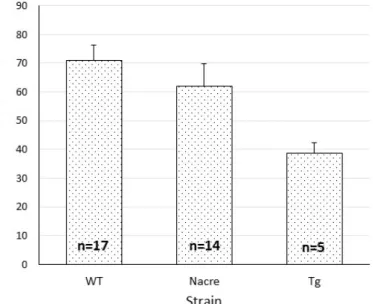 Figure V.1: Mean fertilization rate ± standard error at 24hpf using the IVF technique, according to the  strain