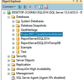 Figure 15: Microsoft SQL Server databases.