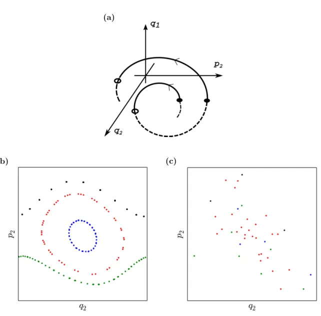 Figura 4.1: (a) Ilustração de uma trajetória sendo marcada na seção de Poincaré. (b) Trajetórias regulares sobre curvas unidimensionais no espaço de fase, caracterizando um sistema integrável