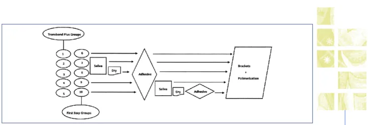 Figure 1 -  Schematic representation of the different bonding sequences