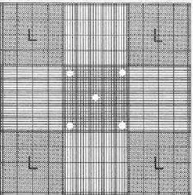 Figura 3-  Área de contagem celular na câmara de Neubauer. Os quatro quadrantes representados pela letra L são  usados para a contagem total de leucócitos, e o no quadrante central, os cinco pequenos quadrantes  marcados são usados para a contagem total de