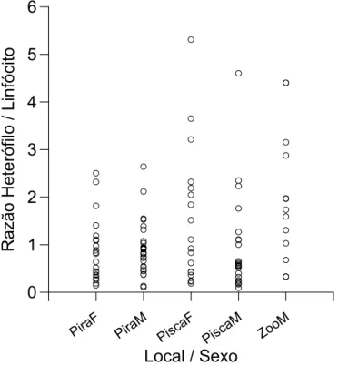 Figura 4 -   Valores da razão heterófilo/linfócito dos cinco grupos amostrados. PiraF= Piracicaba Fêmeas,  PiraM= Piracicaba Machos, PiscaF= Piracicamirim Fêmeas , PiscaM= Piracicamirim Machos,  ZooM= Zoológico Machos