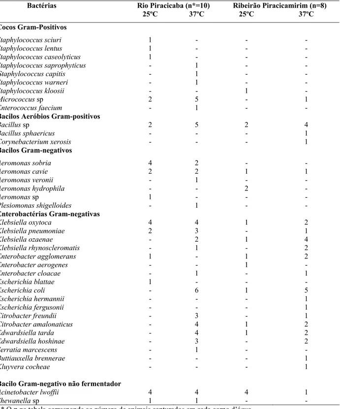 Tabela  3.1- Bactérias presentes na cavidade oral de cágados Phrynops geoffroanus no rio Piracicaba e ribeirão       Piracicamirim, incubados a temperatura de 25° e 37° C e a quantidade de indivíduos acometidos 