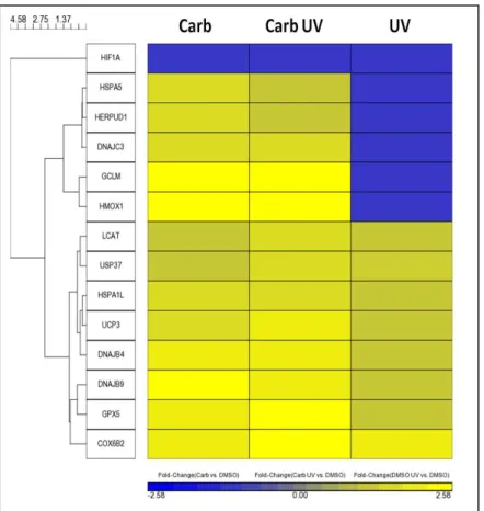 Figura  16:  Genes  relacionados  a  estresse  oxidativo  -  heatmap  representando  o  aumento/diminuição  de  expressão  gênica  em  relação  ao  grupo  controle  do  veículo  DMSO