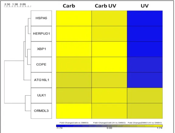 Figura 17: Genes relacionados com estresse de retículo endoplasmático e autofagia -  heatmap  representando  o  aumento/diminuição  de  expressão  gênica  em  relação  ao  grupo controle do veículo DMSO