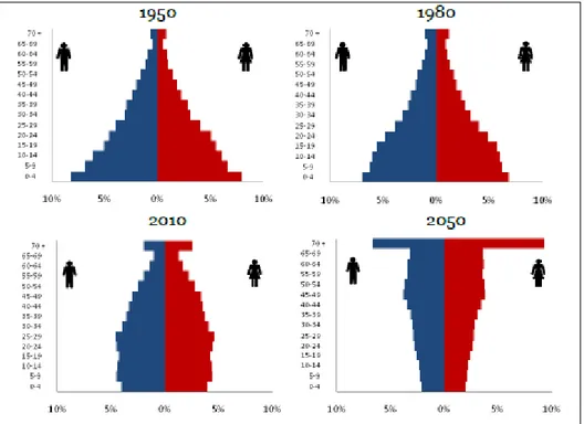 Figura 7  –  Estrutura etária da população brasileira segundo sexo entre 1950  –  2050  (BANCO MUNDIAL, 2011) 