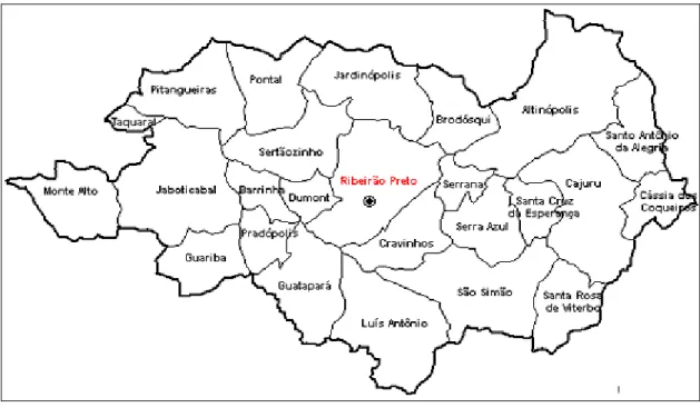 Figura 1  –  Mapa da Região de Ribeirão Preto 