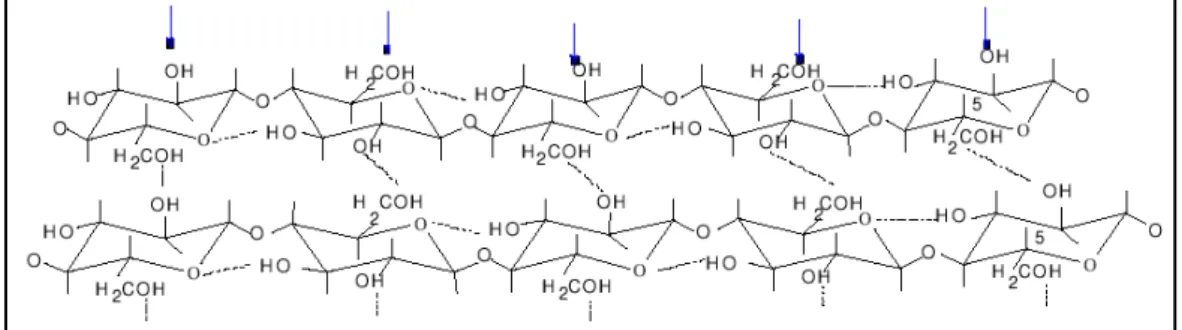 Figura 1.12. Grupos hidroxilas acessíveis em reações em condições  heterogêneas: superfície (Dawsey, 1994)