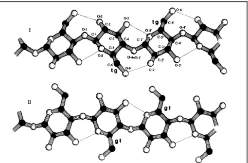 Figura 1.14. Modelo molecular da celulose I e II. As conformações dos  grupos hidroximetil, t-g ou g-t, estão marcadas e as ligações intramoleculares  indicadas (Gardner e Blackwel, 1975)