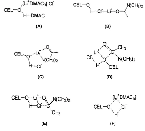 Figura 1.18. Complexos da Celulose/DMAC/LiCl, formados no processo  da dissolução da celulose neste sistema de solvente