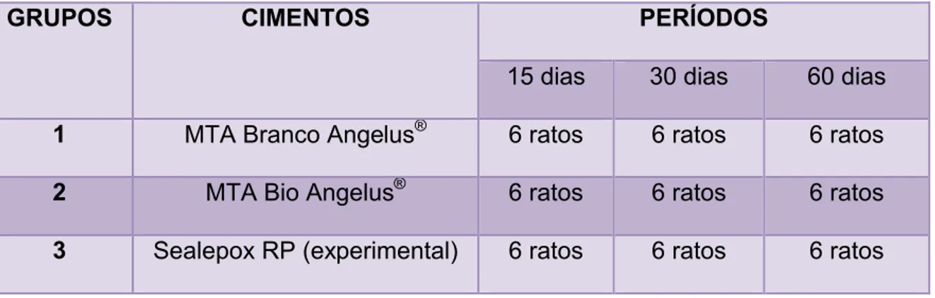 Tabela 1 – Distribuição dos grupos, cimentos e períodos experimentais.