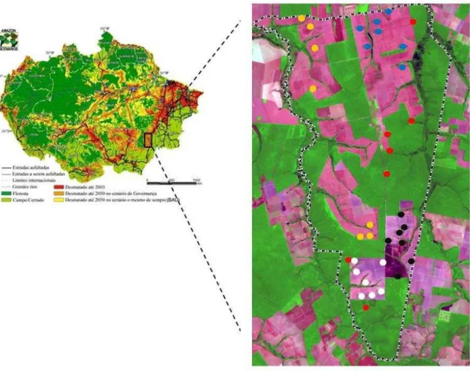 Figura 3 - Localização da área de estudo (Fazenda Tanguro) e mapa de uso do solo incluindo  as  áreas  selecionadas  para  amostragem