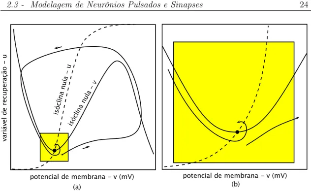Figura 2.8: Espaço de fases do modelo de Izhikevich (a) e uma aproximação visual (b) do destaque em amarelo.