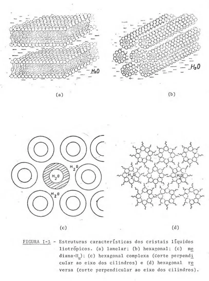 FIGURA  I-3  - Estruturas  características  dos  cristais  lÍquidos  liotrõpicos.  (a)  lamclar;  (b)  hexap;onal;  (c)  me  diana-H);  (c)  hexagonal  complexa  (torte  perpendi  a   -cular  ao  eixo  dos  cilindros)  e  (d)  hexagonal  re  versa  (corte 