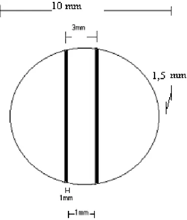 Figura 8 - desenho esquemático do posicionamento dos pinos no corpo de prova e suas dimensões 