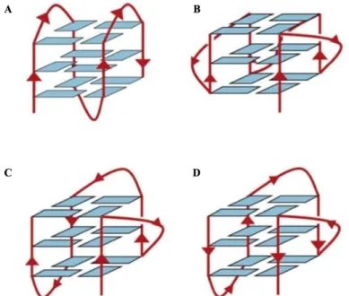 Figura 5: Topologias de G-quadruplexos intramoleculares. A) Antiparalela; 