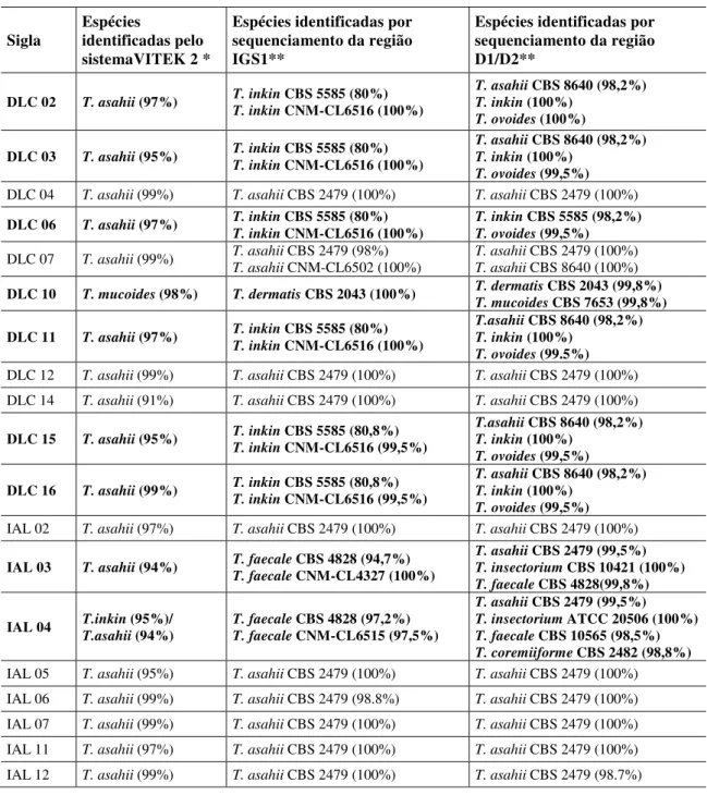 Tabela 2.  Identificação  de  espécies  dos  19  isolados  invasivos  de  Trichosporon  spp.