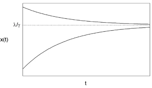 Figura 1.1: Soluções da equação (1.1) como uma função do tempo a partir de duas condições iniciais diferentes.