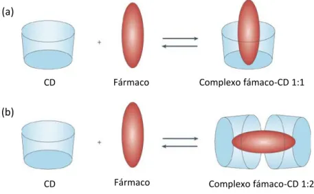 Fig. 5 –Complexos fármaco-CD (a)  1:1 e (b) 1:2 (adaptado de Davis e Brewster, 2004). 