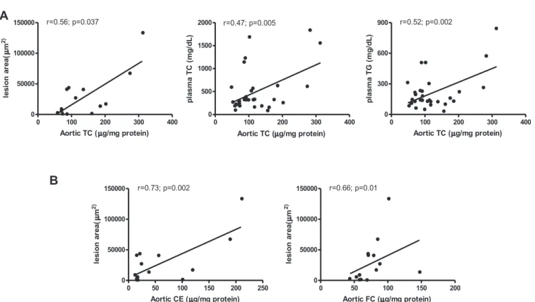 Fig. 2. Correlations between (A) aortic total cholesterol (TC) with lesion area, plasma TC and plasma TG concentration: the aortic TC content was positively correlated with lesion area, plasma TC and plasma TG; (B) aortic cholesteryl ester (CE) and free ch