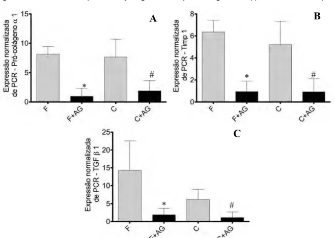 Figura 7 -  Gráficos da quantificação da expressão gênica normalizada pelo grupo SHAM, de pró- pró-colágeno α1(I), TIMP 1 e TGF-β1, respectivamente 