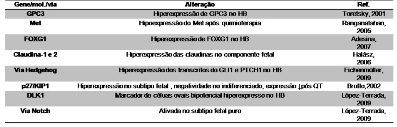 Tabela 4  –  Alterações moleculares e genéticas descritas na literatura a  respeito do Hepatoblastoma  
